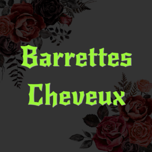 BARRETTES CHEVEUX