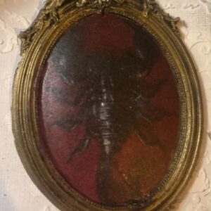 Cadre gothique dark fantasy