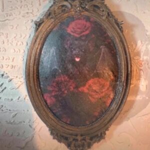 Cadre gothique / dark fantasy