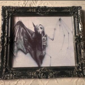 Cadre gothique dark fantasy
