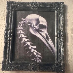 Cadre gothique dark fantasy