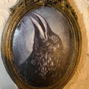 Cadre gothique dark fantasy